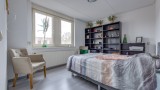 Kerkuil 3 Emmen