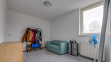 Kerkuil 3 Emmen