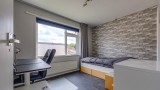 Zanglijster 26 Ter Apel