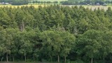 G. Buwaldaweg 11a Sellingen