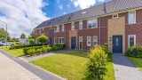 Pimpernel 7 Nieuw-Buinen