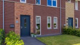 Pimpernel 7 Nieuw-Buinen