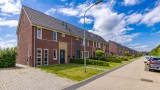Pimpernel 7 Nieuw-Buinen