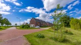 Pimpernel 7 Nieuw-Buinen
