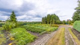 Schaalbergerweg 36 Ter Apelkanaal