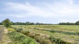 Ter Wuppingerweg 5A Onstwedde