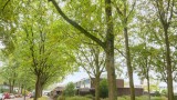 Dillingecamp 29 Emmen