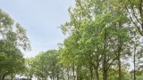 Dillingecamp 29 Emmen