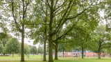 Dillingecamp 29 Emmen